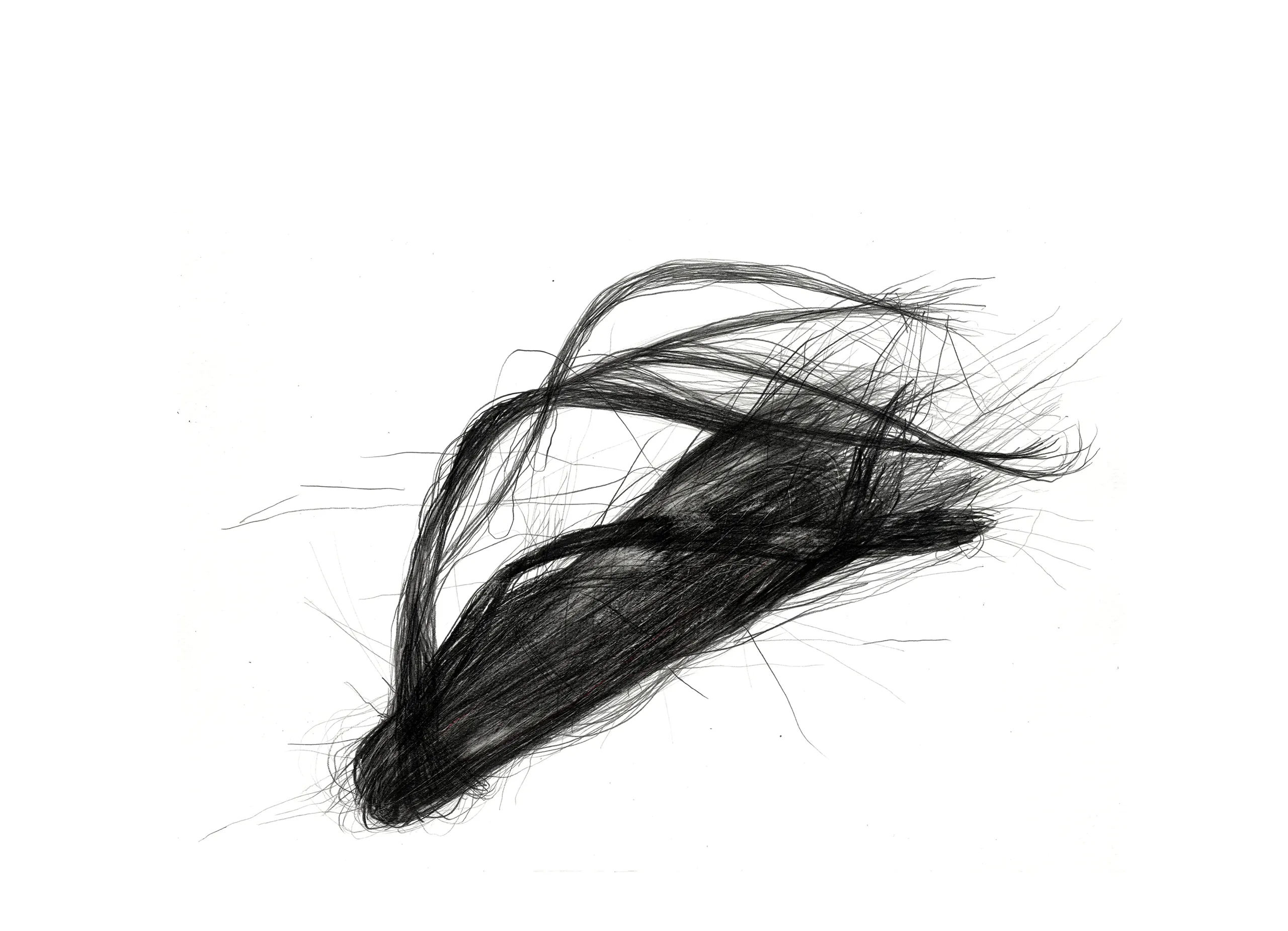 Dibujo Central